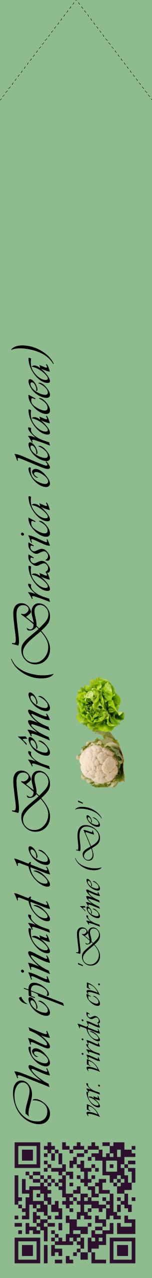 Étiquette de : Brassica oleracea var. viridis cv. 'Brême (De)' - format c - style noire13_simpleviv avec qrcode et comestibilité simplifiée