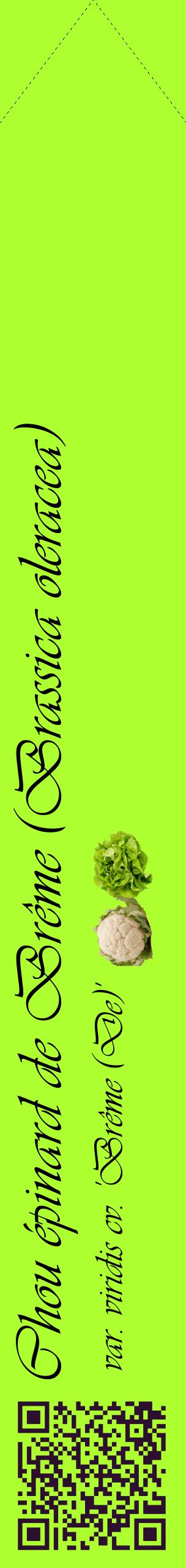 Étiquette de : Brassica oleracea var. viridis cv. 'Brême (De)' - format c - style noire17_simpleviv avec qrcode et comestibilité simplifiée