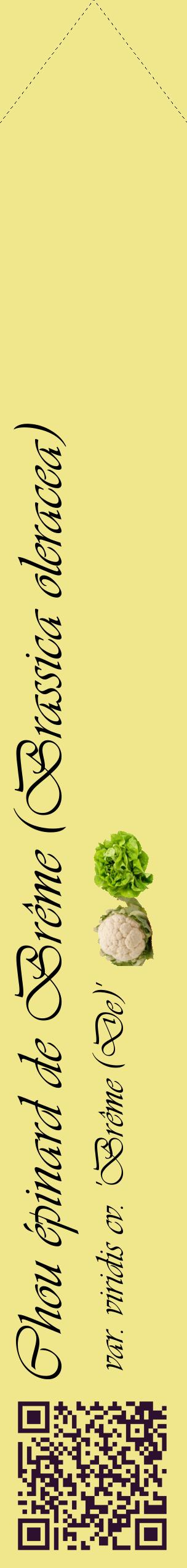 Étiquette de : Brassica oleracea var. viridis cv. 'Brême (De)' - format c - style noire20_simpleviv avec qrcode et comestibilité simplifiée