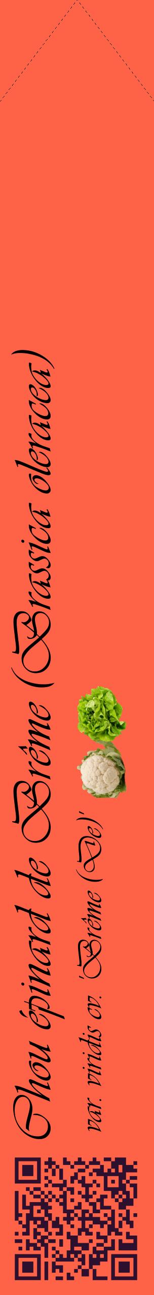 Étiquette de : Brassica oleracea var. viridis cv. 'Brême (De)' - format c - style noire25_simpleviv avec qrcode et comestibilité simplifiée