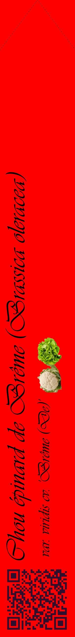 Étiquette de : Brassica oleracea var. viridis cv. 'Brême (De)' - format c - style noire27_simpleviv avec qrcode et comestibilité simplifiée