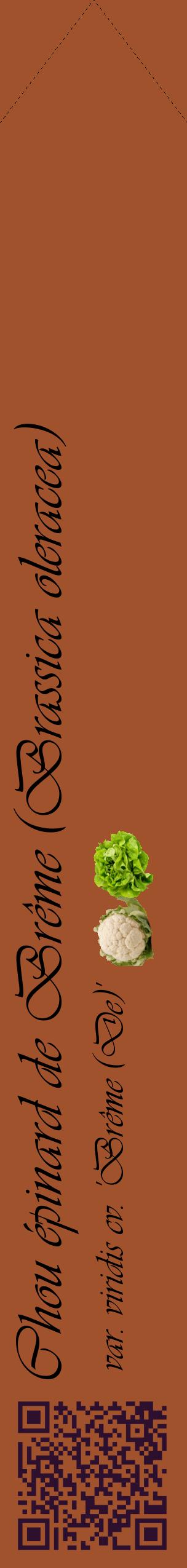 Étiquette de : Brassica oleracea var. viridis cv. 'Brême (De)' - format c - style noire32_simpleviv avec qrcode et comestibilité simplifiée