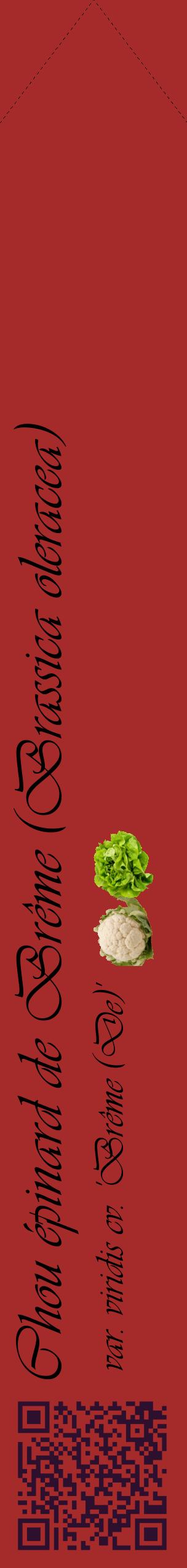 Étiquette de : Brassica oleracea var. viridis cv. 'Brême (De)' - format c - style noire33_simpleviv avec qrcode et comestibilité simplifiée