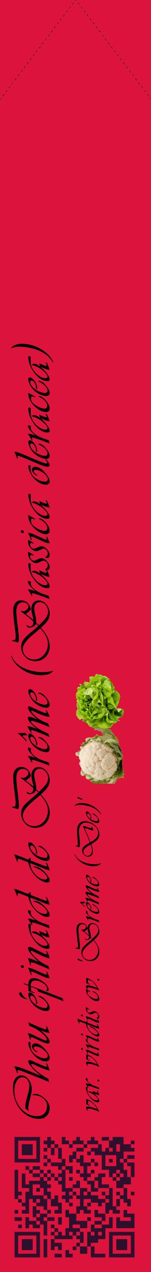 Étiquette de : Brassica oleracea var. viridis cv. 'Brême (De)' - format c - style noire36_simpleviv avec qrcode et comestibilité simplifiée