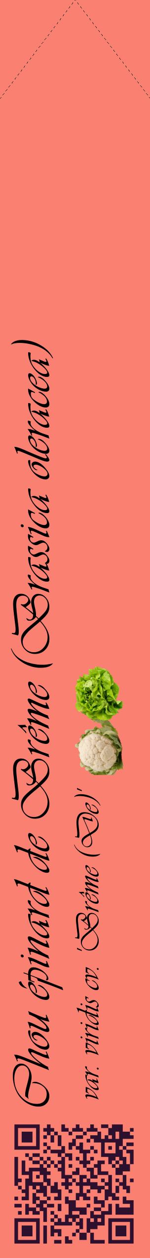 Étiquette de : Brassica oleracea var. viridis cv. 'Brême (De)' - format c - style noire38_simpleviv avec qrcode et comestibilité simplifiée