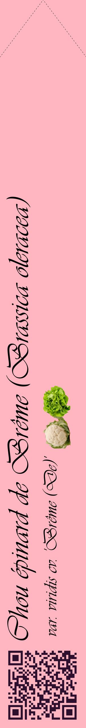 Étiquette de : Brassica oleracea var. viridis cv. 'Brême (De)' - format c - style noire41_simpleviv avec qrcode et comestibilité simplifiée