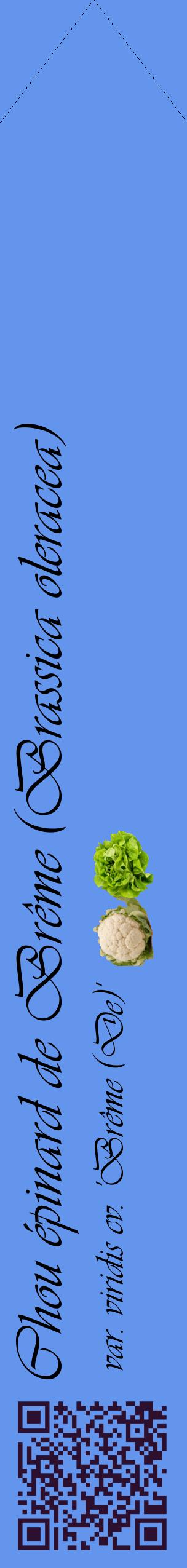 Étiquette de : Brassica oleracea var. viridis cv. 'Brême (De)' - format c - style noire4_simpleviv avec qrcode et comestibilité simplifiée