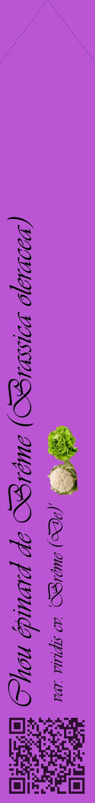Étiquette de : Brassica oleracea var. viridis cv. 'Brême (De)' - format c - style noire50_simpleviv avec qrcode et comestibilité simplifiée