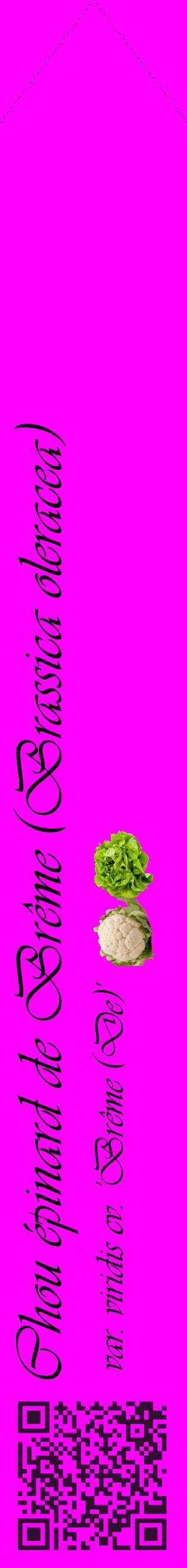 Étiquette de : Brassica oleracea var. viridis cv. 'Brême (De)' - format c - style noire51_simpleviv avec qrcode et comestibilité simplifiée