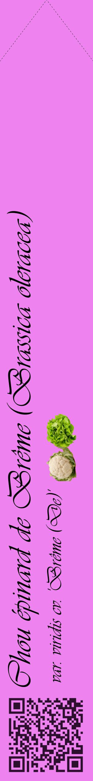 Étiquette de : Brassica oleracea var. viridis cv. 'Brême (De)' - format c - style noire53_simpleviv avec qrcode et comestibilité simplifiée