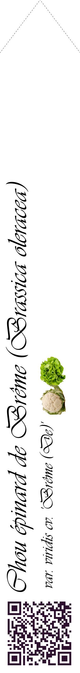 Étiquette de : Brassica oleracea var. viridis cv. 'Brême (De)' - format c - style noire60_simpleviv avec qrcode et comestibilité simplifiée