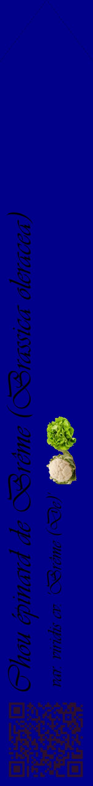 Étiquette de : Brassica oleracea var. viridis cv. 'Brême (De)' - format c - style noire7_simpleviv avec qrcode et comestibilité simplifiée