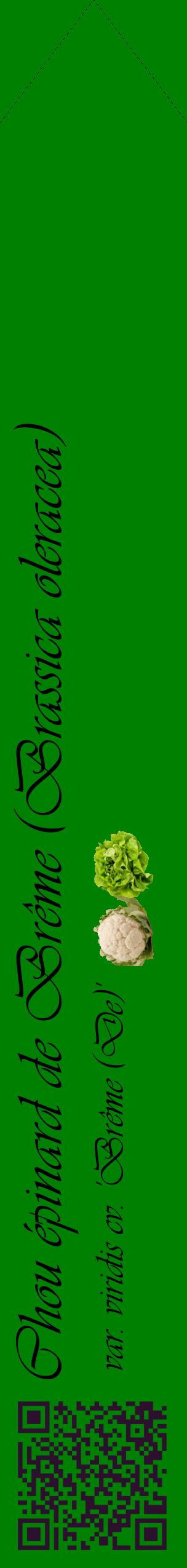 Étiquette de : Brassica oleracea var. viridis cv. 'Brême (De)' - format c - style noire9_simpleviv avec qrcode et comestibilité simplifiée