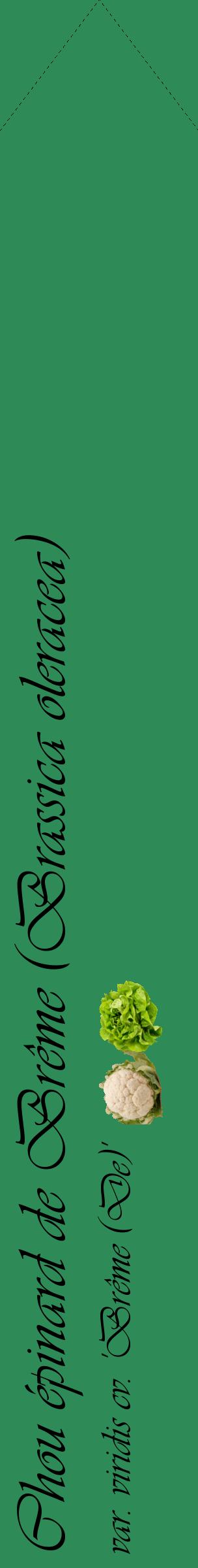Étiquette de : Brassica oleracea var. viridis cv. 'Brême (De)' - format c - style noire11_simpleviv avec comestibilité simplifiée