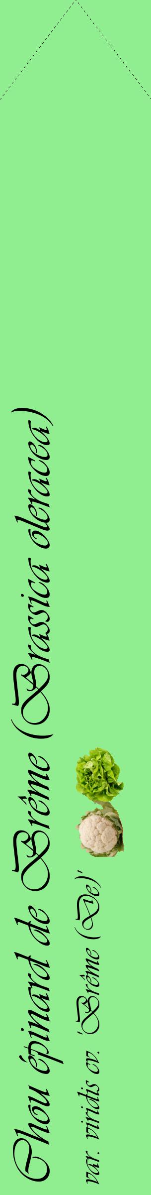 Étiquette de : Brassica oleracea var. viridis cv. 'Brême (De)' - format c - style noire15_simpleviv avec comestibilité simplifiée