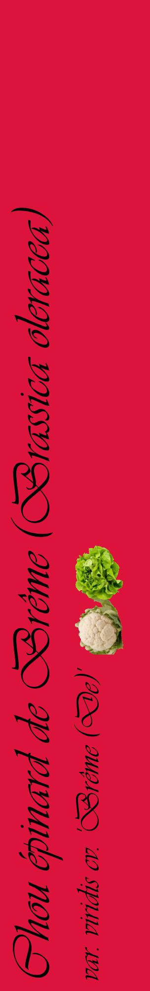 Étiquette de : Brassica oleracea var. viridis cv. 'Brême (De)' - format c - style noire36_basiqueviv avec comestibilité simplifiée
