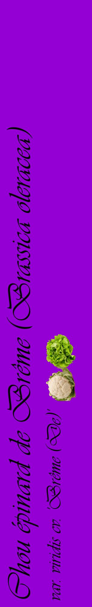 Étiquette de : Brassica oleracea var. viridis cv. 'Brême (De)' - format c - style noire48_basiqueviv avec comestibilité simplifiée
