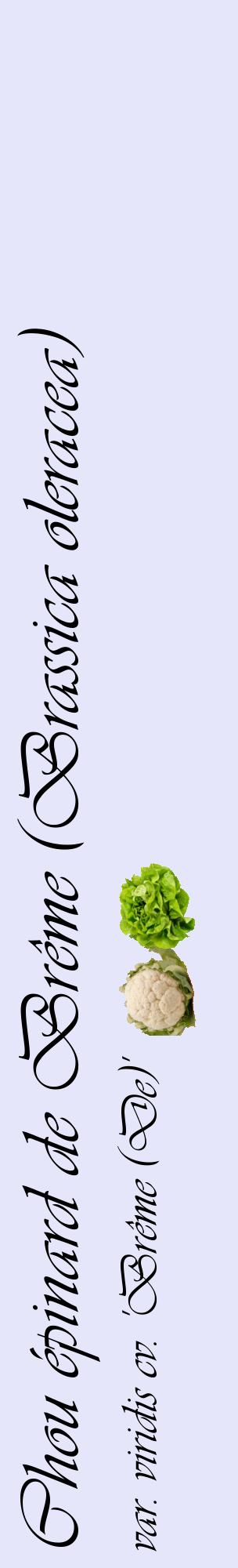 Étiquette de : Brassica oleracea var. viridis cv. 'Brême (De)' - format c - style noire55_basiqueviv avec comestibilité simplifiée