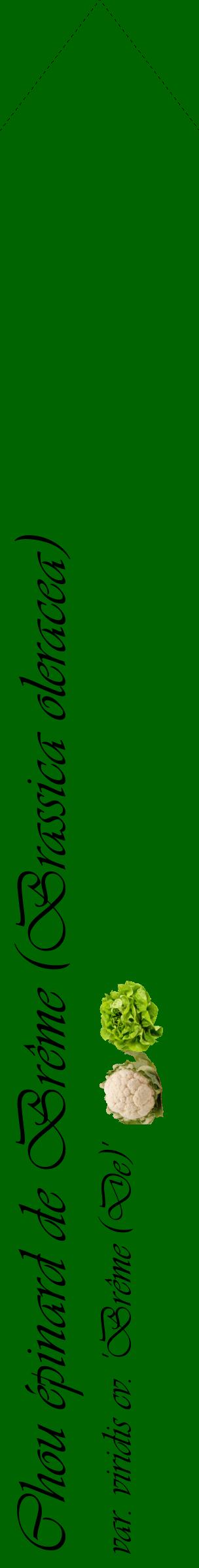 Étiquette de : Brassica oleracea var. viridis cv. 'Brême (De)' - format c - style noire8_simpleviv avec comestibilité simplifiée
