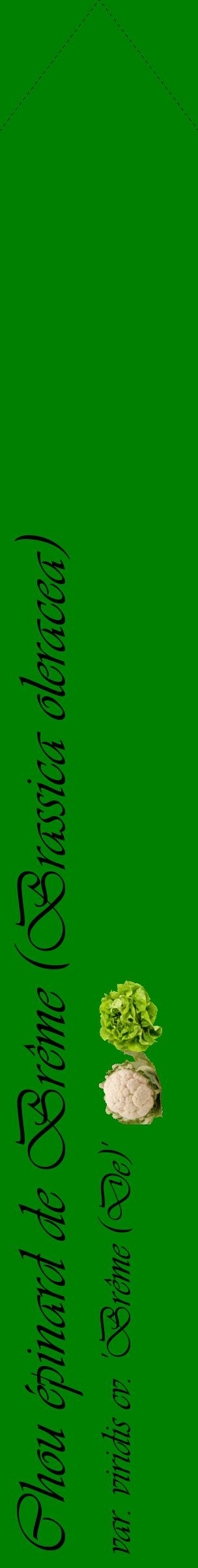 Étiquette de : Brassica oleracea var. viridis cv. 'Brême (De)' - format c - style noire9_simpleviv avec comestibilité simplifiée
