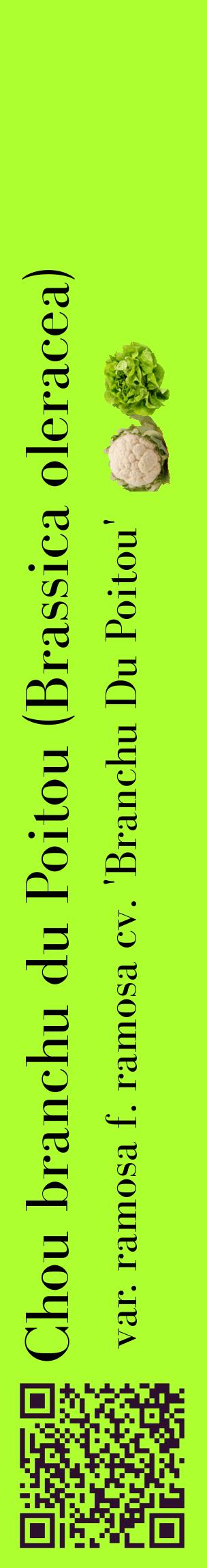 Étiquette de : Brassica oleracea var. ramosa f. ramosa cv. 'Branchu Du Poitou' - format c - style noire17_basiquebod avec qrcode et comestibilité simplifiée