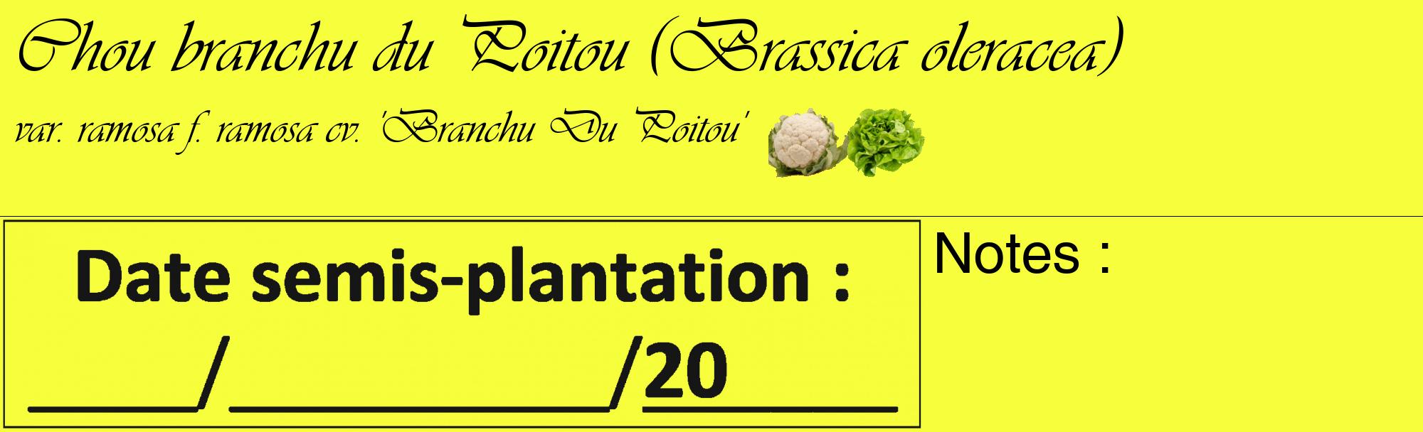 Étiquette de : Brassica oleracea var. ramosa f. ramosa cv. 'Branchu Du Poitou' - format c - style noire18_basique_basiqueviv avec comestibilité simplifiée