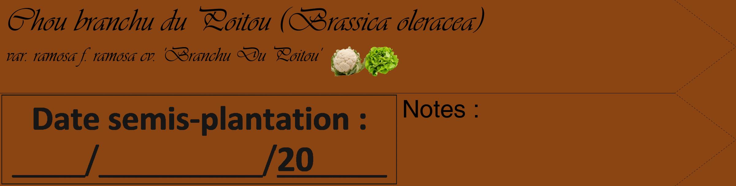 Étiquette de : Brassica oleracea var. ramosa f. ramosa cv. 'Branchu Du Poitou' - format c - style noire30_simple_simpleviv avec comestibilité simplifiée