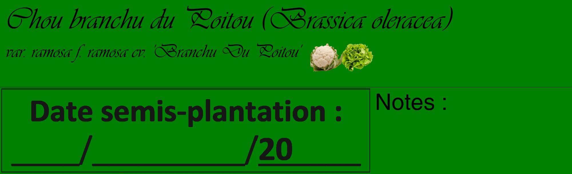 Étiquette de : Brassica oleracea var. ramosa f. ramosa cv. 'Branchu Du Poitou' - format c - style noire9_basique_basiqueviv avec comestibilité simplifiée