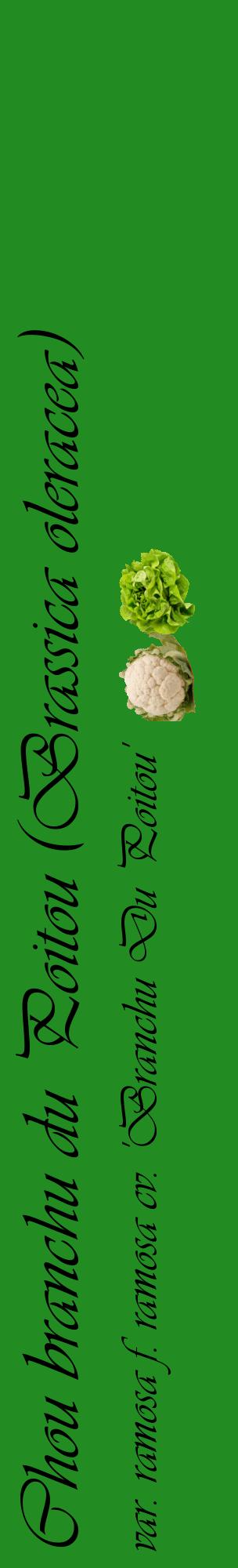 Étiquette de : Brassica oleracea var. ramosa f. ramosa cv. 'Branchu Du Poitou' - format c - style noire10_basiqueviv avec comestibilité simplifiée