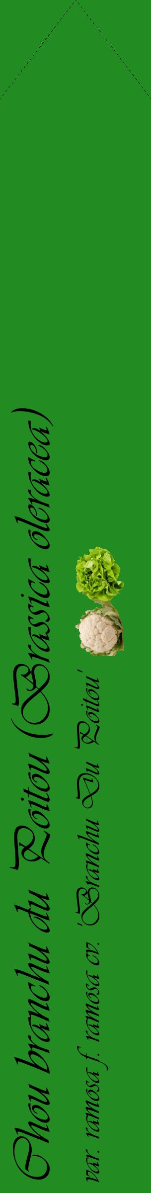 Étiquette de : Brassica oleracea var. ramosa f. ramosa cv. 'Branchu Du Poitou' - format c - style noire10_simpleviv avec comestibilité simplifiée