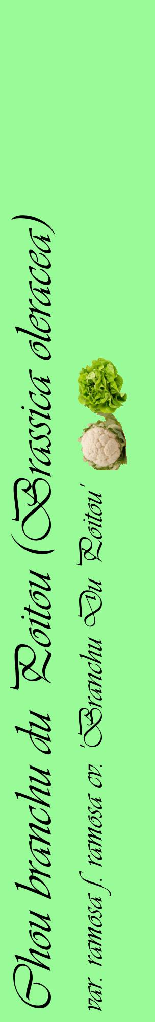 Étiquette de : Brassica oleracea var. ramosa f. ramosa cv. 'Branchu Du Poitou' - format c - style noire14_basiqueviv avec comestibilité simplifiée