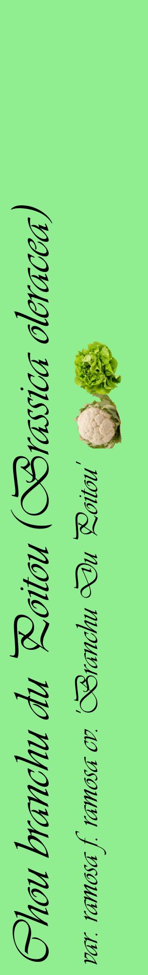 Étiquette de : Brassica oleracea var. ramosa f. ramosa cv. 'Branchu Du Poitou' - format c - style noire15_basiqueviv avec comestibilité simplifiée
