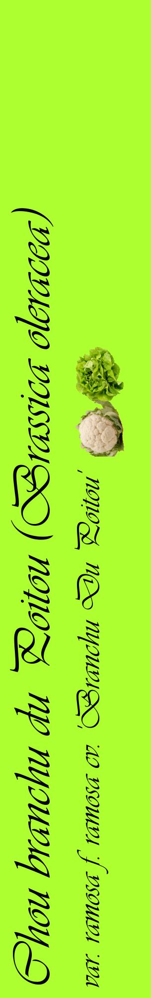 Étiquette de : Brassica oleracea var. ramosa f. ramosa cv. 'Branchu Du Poitou' - format c - style noire17_basiqueviv avec comestibilité simplifiée