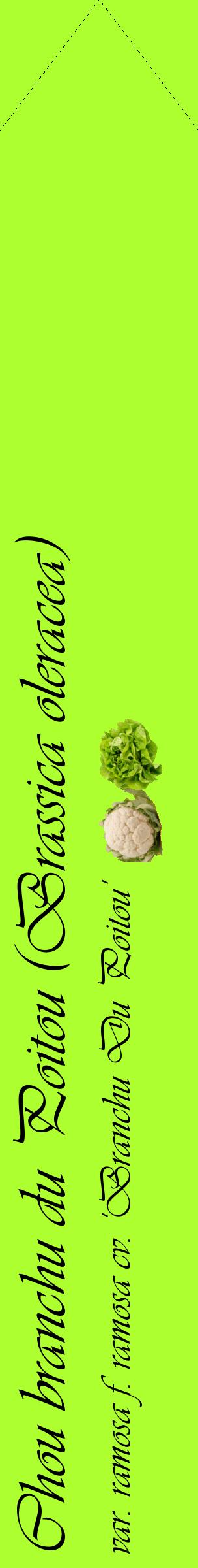 Étiquette de : Brassica oleracea var. ramosa f. ramosa cv. 'Branchu Du Poitou' - format c - style noire17_simpleviv avec comestibilité simplifiée