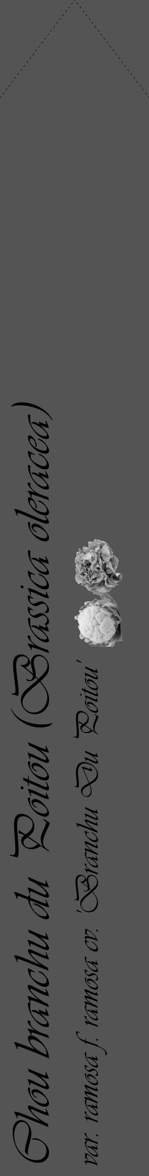 Étiquette de : Brassica oleracea var. ramosa f. ramosa cv. 'Branchu Du Poitou' - format c - style noire30_simple_simpleviv avec comestibilité simplifiée - position verticale