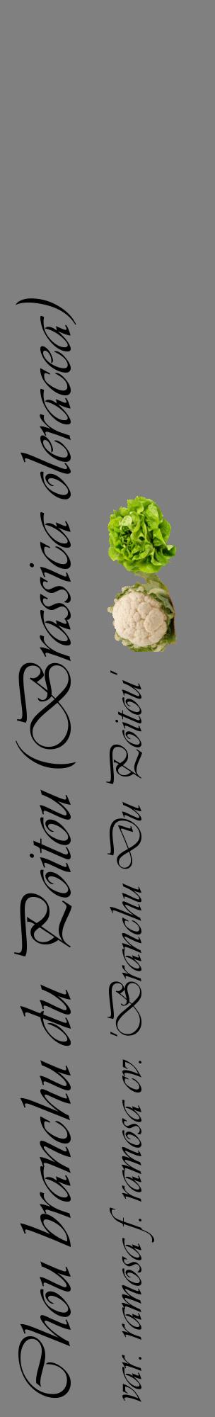 Étiquette de : Brassica oleracea var. ramosa f. ramosa cv. 'Branchu Du Poitou' - format c - style noire57_basiqueviv avec comestibilité simplifiée