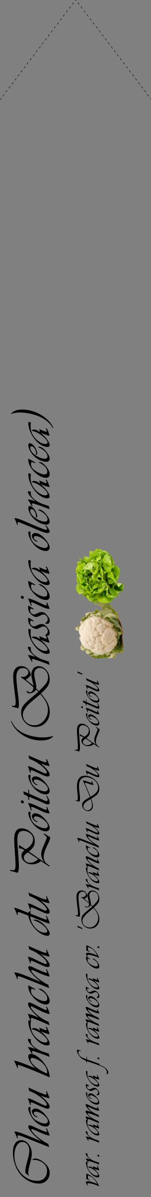 Étiquette de : Brassica oleracea var. ramosa f. ramosa cv. 'Branchu Du Poitou' - format c - style noire57_simpleviv avec comestibilité simplifiée