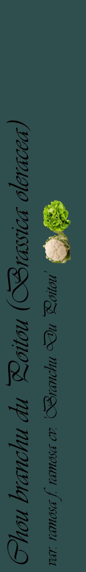 Étiquette de : Brassica oleracea var. ramosa f. ramosa cv. 'Branchu Du Poitou' - format c - style noire58_basiqueviv avec comestibilité simplifiée