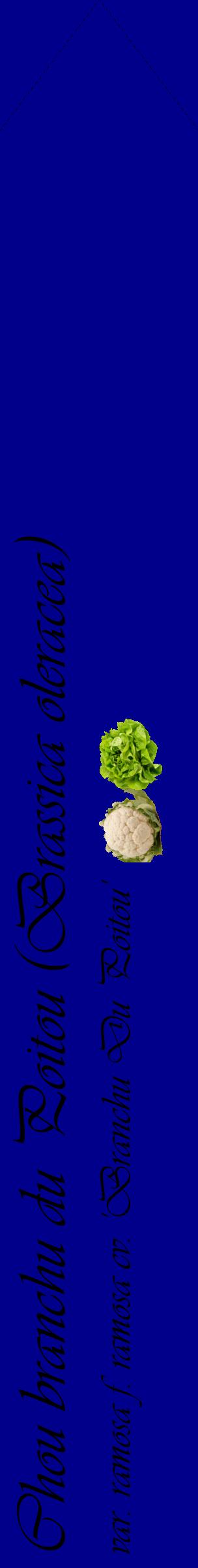 Étiquette de : Brassica oleracea var. ramosa f. ramosa cv. 'Branchu Du Poitou' - format c - style noire7_simpleviv avec comestibilité simplifiée