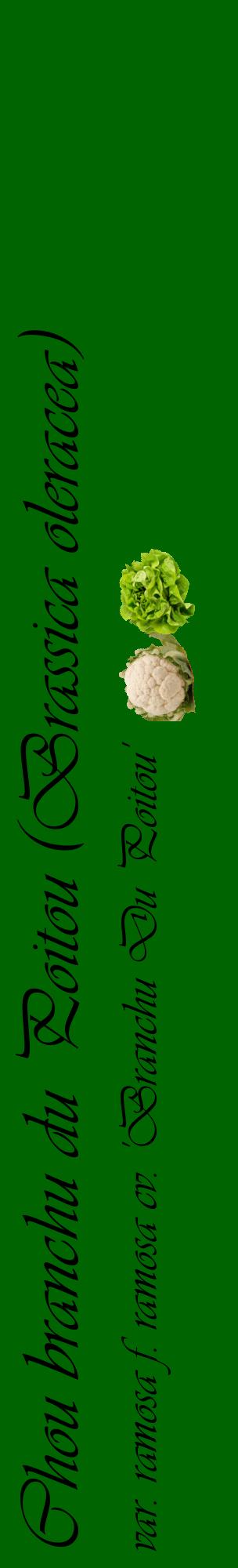 Étiquette de : Brassica oleracea var. ramosa f. ramosa cv. 'Branchu Du Poitou' - format c - style noire8_basiqueviv avec comestibilité simplifiée