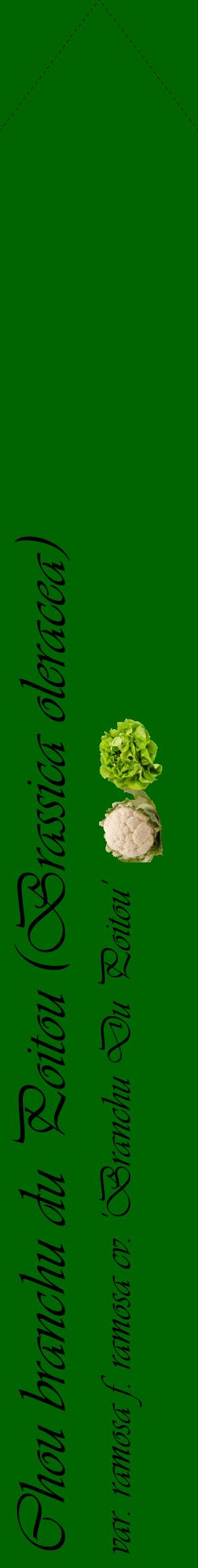 Étiquette de : Brassica oleracea var. ramosa f. ramosa cv. 'Branchu Du Poitou' - format c - style noire8_simpleviv avec comestibilité simplifiée