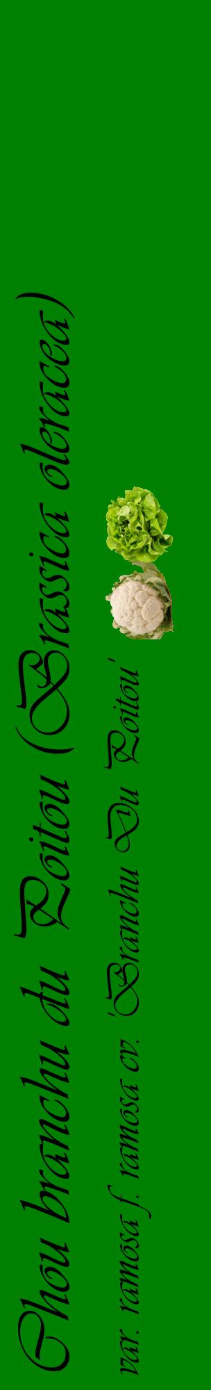 Étiquette de : Brassica oleracea var. ramosa f. ramosa cv. 'Branchu Du Poitou' - format c - style noire9_basiqueviv avec comestibilité simplifiée