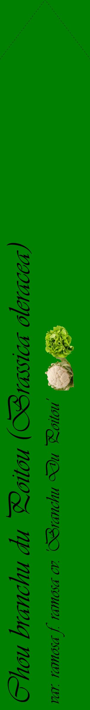 Étiquette de : Brassica oleracea var. ramosa f. ramosa cv. 'Branchu Du Poitou' - format c - style noire9_simpleviv avec comestibilité simplifiée