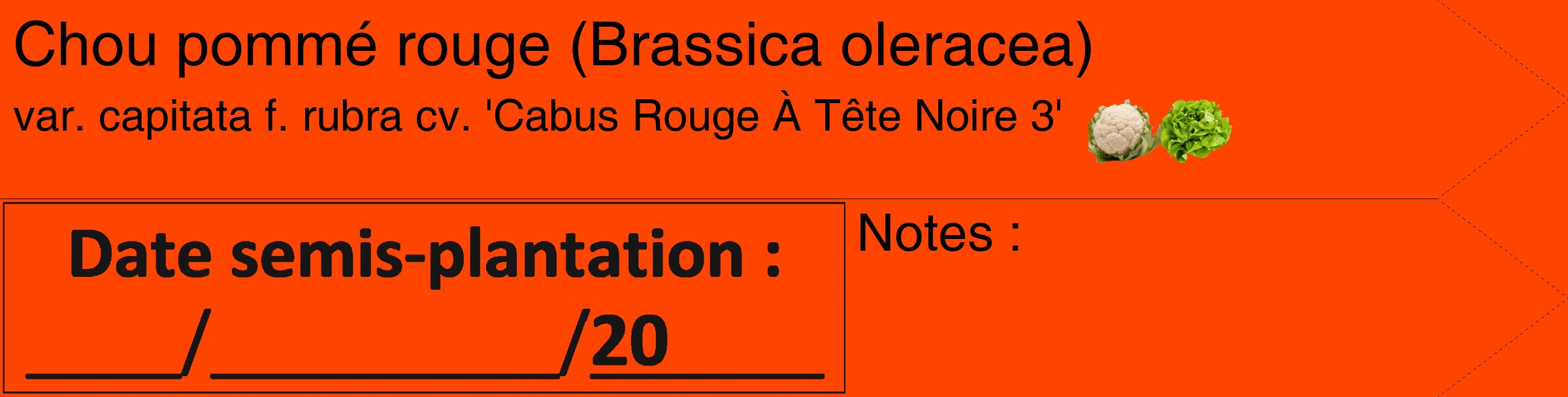 Étiquette de : Brassica oleracea var. capitata f. rubra cv. 'Cabus Rouge À Tête Noire 3' - format c - style noire26_simple_simplehel avec comestibilité simplifiée