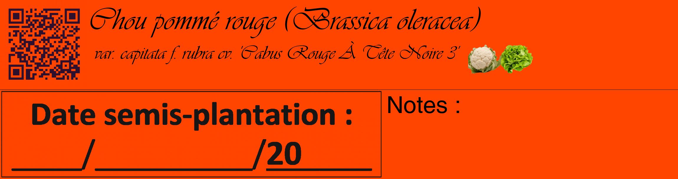 Étiquette de : Brassica oleracea var. capitata f. rubra cv. 'Cabus Rouge À Tête Noire 3' - format c - style noire26_basique_basiqueviv avec qrcode et comestibilité simplifiée
