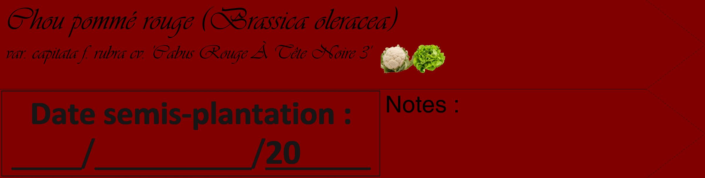 Étiquette de : Brassica oleracea var. capitata f. rubra cv. 'Cabus Rouge À Tête Noire 3' - format c - style noire29_simple_simpleviv avec comestibilité simplifiée