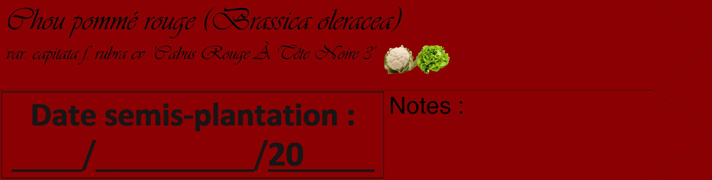 Étiquette de : Brassica oleracea var. capitata f. rubra cv. 'Cabus Rouge À Tête Noire 3' - format c - style noire34_simple_simpleviv avec comestibilité simplifiée