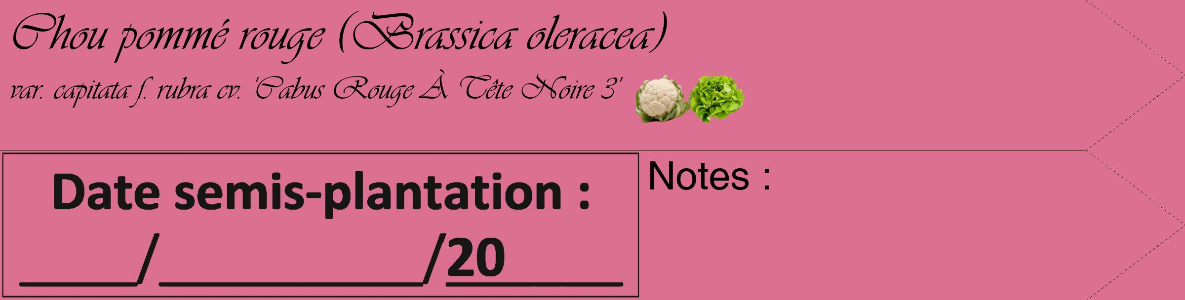 Étiquette de : Brassica oleracea var. capitata f. rubra cv. 'Cabus Rouge À Tête Noire 3' - format c - style noire44_simple_simpleviv avec comestibilité simplifiée