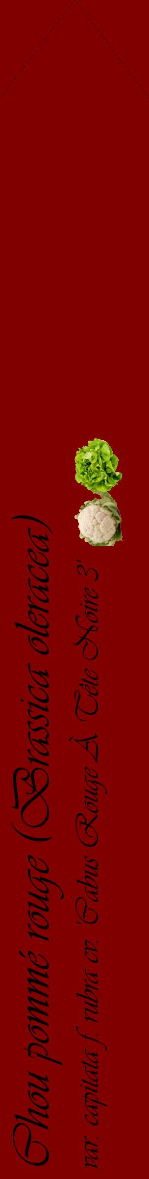 Étiquette de : Brassica oleracea var. capitata f. rubra cv. 'Cabus Rouge À Tête Noire 3' - format c - style noire29_simpleviv avec comestibilité simplifiée