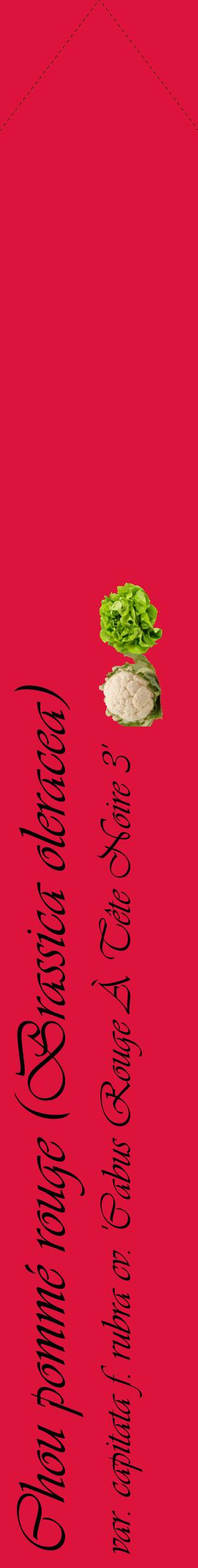 Étiquette de : Brassica oleracea var. capitata f. rubra cv. 'Cabus Rouge À Tête Noire 3' - format c - style noire36_simpleviv avec comestibilité simplifiée